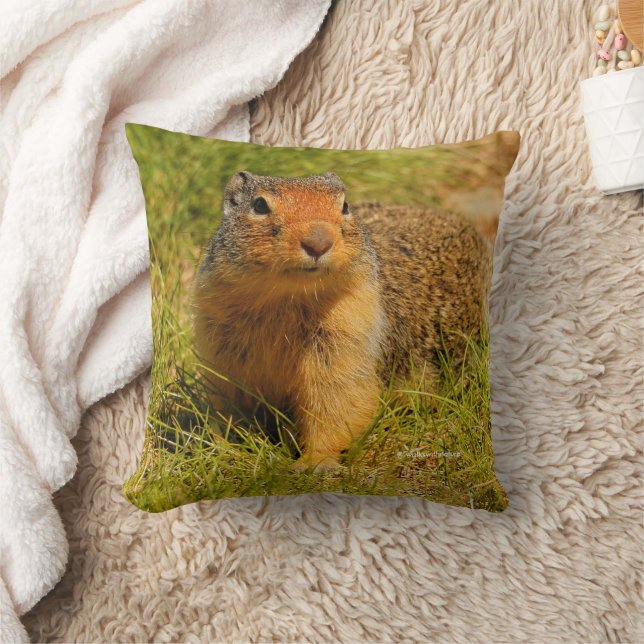Cute Funny Curious Columbian Ground Squirrel Cushion (Blanket)