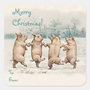 Cute Funny Dancing Pigs "Merry Christmas" Package Square Sticker
