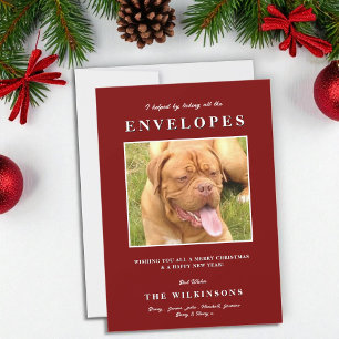 Cute funny Dog Red White Herringbone Holiday Card