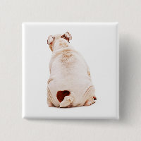Cute funny dog white Bulldog