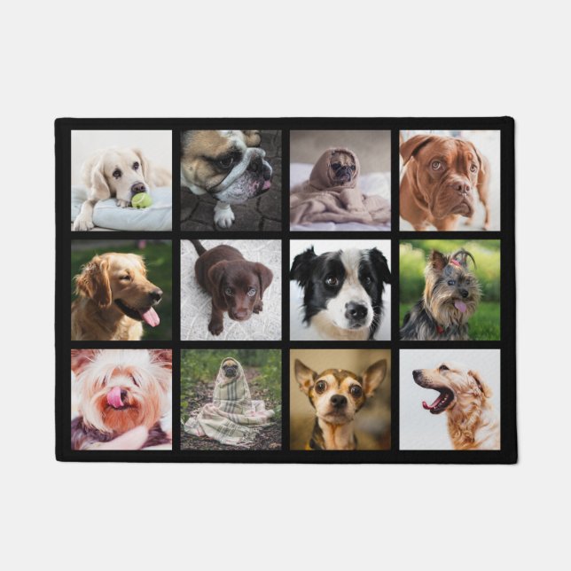 Cute & Funny Dogs Photo Collage door mat (Front)