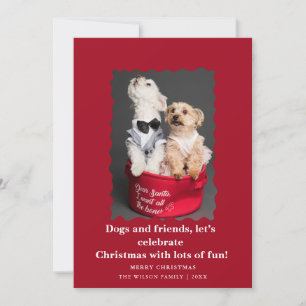 Cute Funny Dogs Saying Christmas Holiday Card 