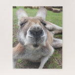 Cute Funny Face Kangaroo Educational Animal Photo Jigsaw Puzzle<br><div class="desc">Cute Funny Face Kangaroo Australian Animal Photo jigsaw puzzle</div>