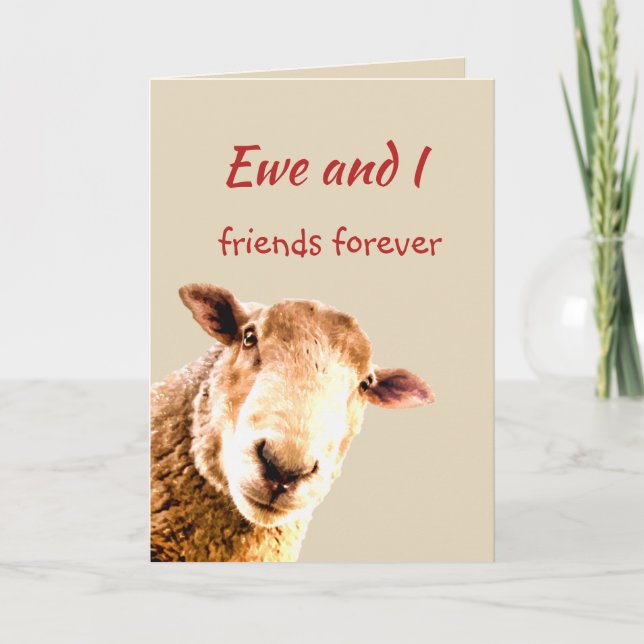 Cute Funny Friends Forever Sheep Animal Humour Thank You Card (Front)