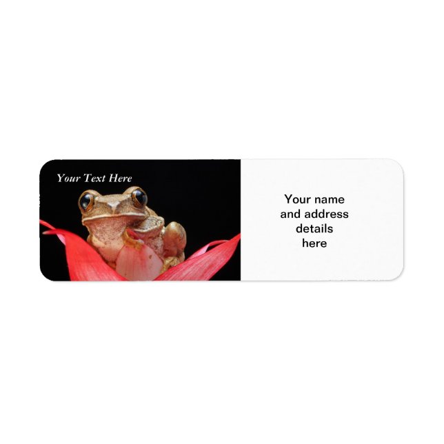 Cute, Funny Frog in Lily RAL Template (Front)