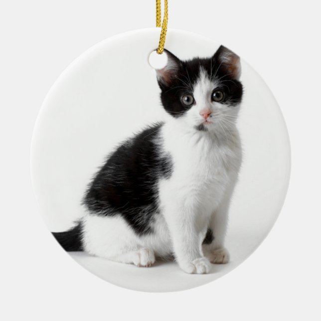 Cute Funny furry kitten black and white cat Ceramic Tree Decoration (Front)