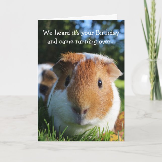 Cute Funny Guinea Pig Birthday Card (Front)