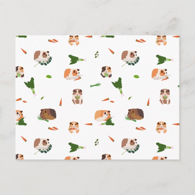 Cute Funny Guinea Pigs Pet Pattern Postcard (Front)