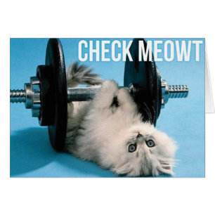 Cute Funny Gym Cat - Check Meowt