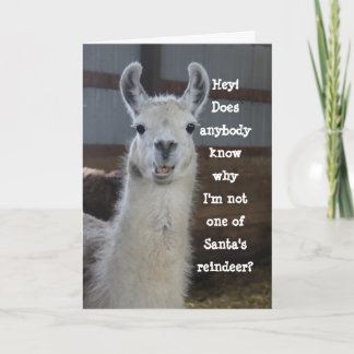 Cute Funny Humourous Llama Merry Christmas Card