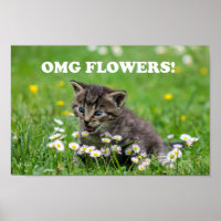 Cute Funny Kitten Loving Flowers