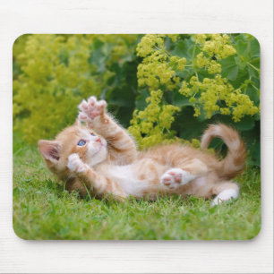 Cute funny kitten playing in a flowery garden -- mouse pad