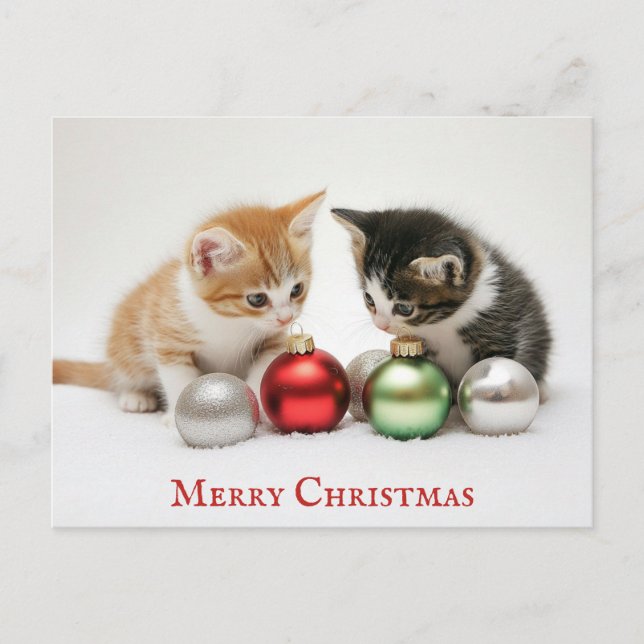 Cute Funny Merry Christmas Kitten Cat Postcard (Front)