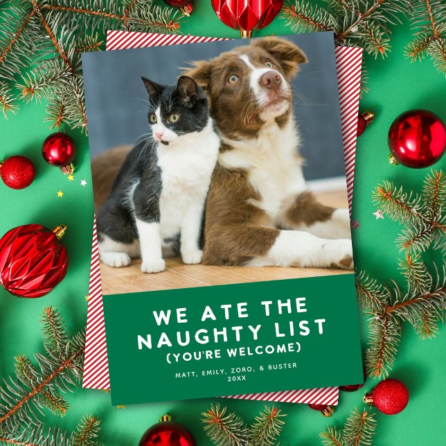 Cute Funny Naughty List Pet Photo Christmas Green Holiday Card (Creator Uploaded)