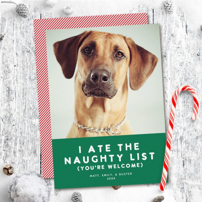 Cute Funny Naughty List Pet Photo Christmas Green Holiday Card (Creator Uploaded)