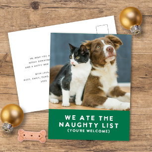 Cute Funny Naughty List Pet Photo Christmas Green Holiday Postcard