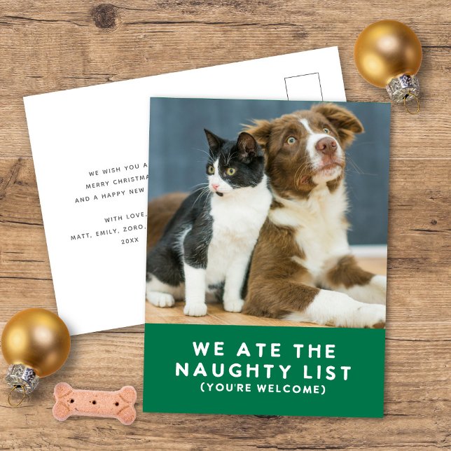 Cute Funny Naughty List Pet Photo Christmas Green Holiday Postcard (Creator Uploaded)