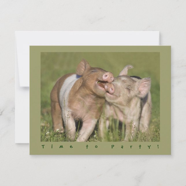Cute Funny Piglets Birthday Party Invitation (Front)