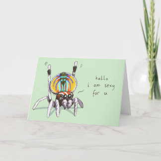 Cute Funny Romantic Peacock Spider Greeting Card