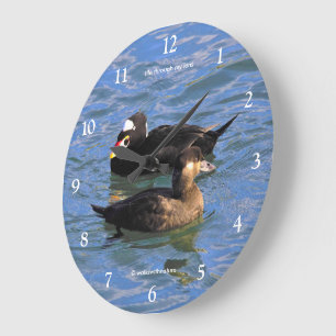 Cute Funny Surf Scoter Ducks Swimming at the Pier Large Clock