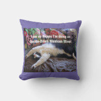 Cute Funny Tuxedo Cat Mexican Wave cats