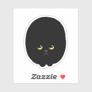 Cute Funny Upset Staring Black Cat Animal Pet 