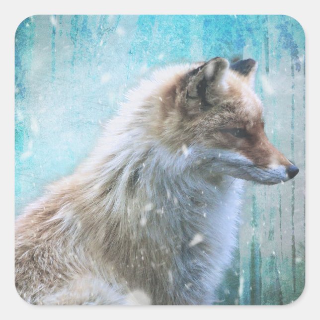 Cute Furry Fox on Blue Grunge Background Square Sticker (Front)