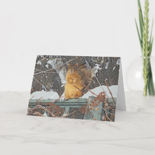 "CUTE, FURRY SQUIRREL" BLANK GREETING CARD