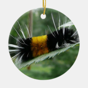 Cute Fuzzy Caterpillar Ceramic Tree Decoration