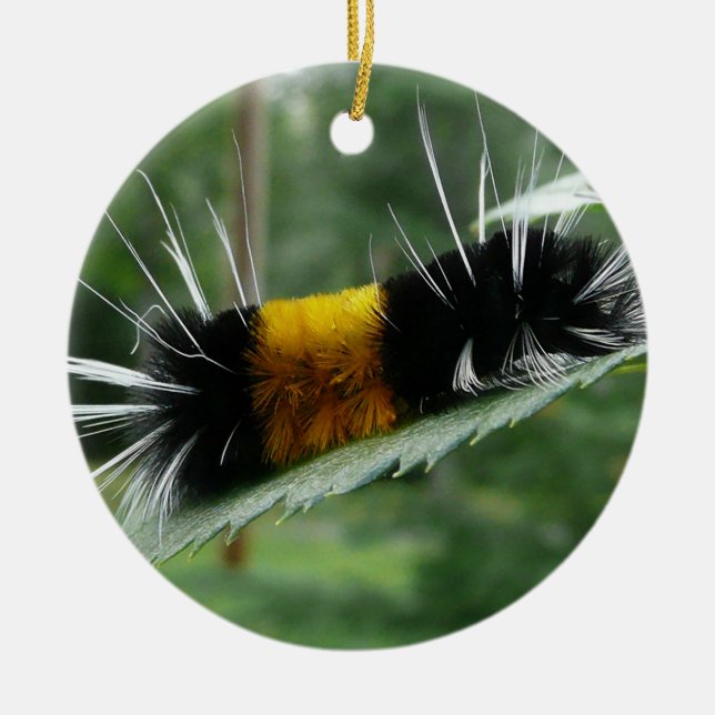 Cute Fuzzy Caterpillar Ceramic Tree Decoration (Front)