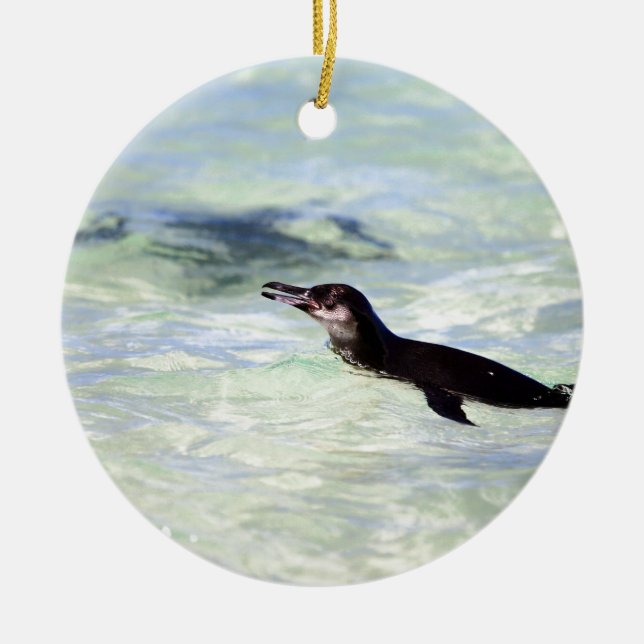 Cute Galapagos penguin swimming Ceramic Tree Decoration (Front)