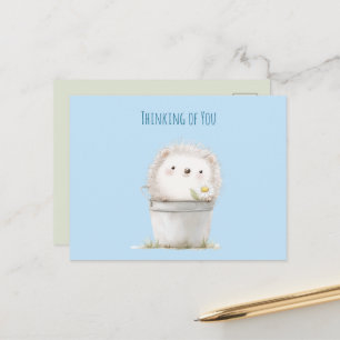 Cute Garden Hedgehog Thinking of you Postcard