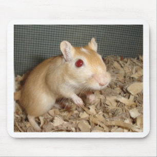 Cute Gerbil Mouse Pad