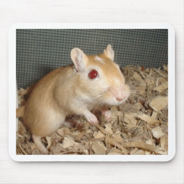 Cute Gerbil Mouse Pad (Front)