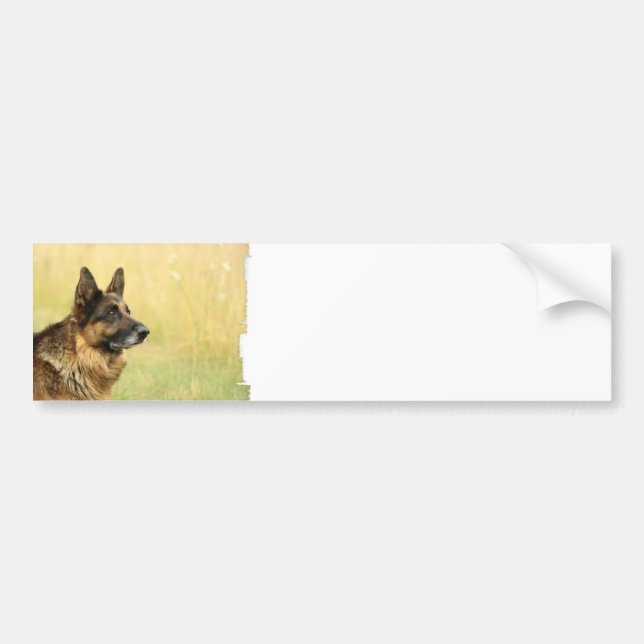 Cute German Shepherd  Bumper Sticker (Front)