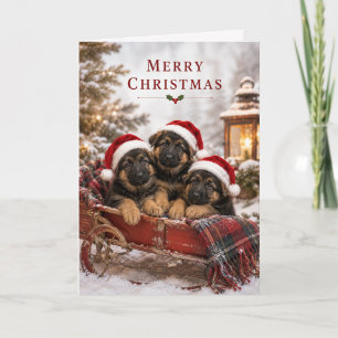 Cute German Shepherd Dog Puppies Merry Christmas Card