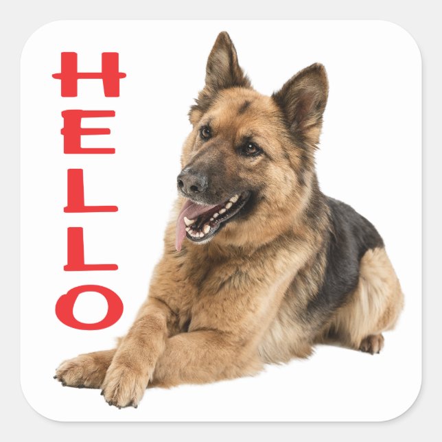 Cute German Shepherd Hello Puppy Dog Square Sticker (Front)