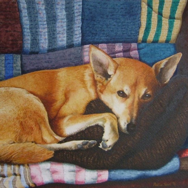 cute german shepherd labrador cross breed dog jigsaw puzzle (Creator Uploaded)