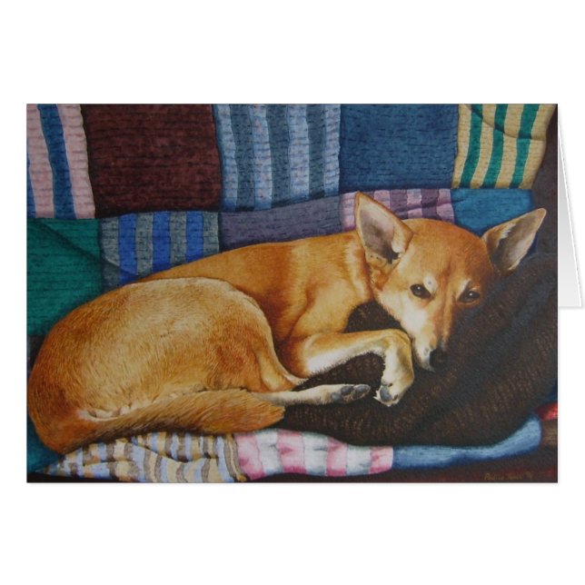 cute german shepherd labrador dog sleeping (Front Horizontal)