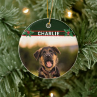 Cute German Shepherd Name and Photo Christmas