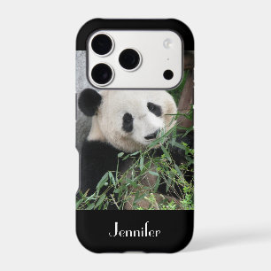 Cute Giant Panda, Black Background, Custom Name