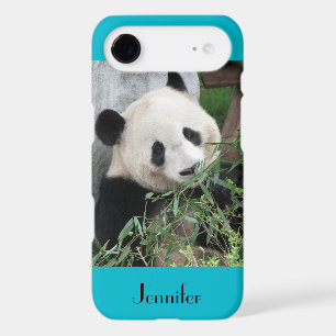 Cute Giant Panda, Blue Background, Name