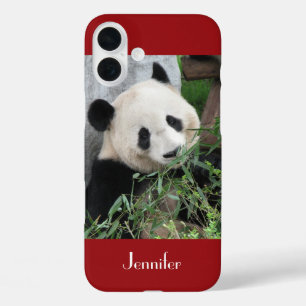 Cute Giant Panda, Dark Red, Custom with Name iPhone 16 Plus Case