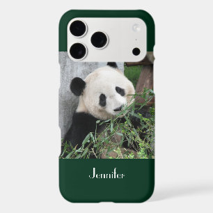 Cute Giant Panda Green Background, Name,