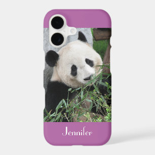 Cute Giant Panda Radiant Orchid Purple Custom Name