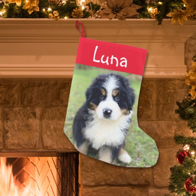 Cute Gift for Berner Lovers Female Bernese Face Small Christmas Stocking (Creator Uploaded)