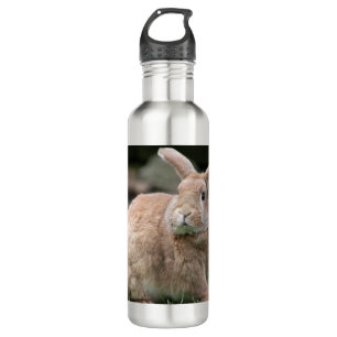 Cute ginger bunny with big ears 710 ml water bottle