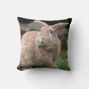 Cute ginger bunny with big ears cushion