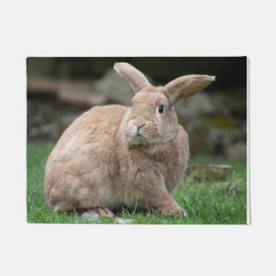 Cute ginger bunny with big ears doormat