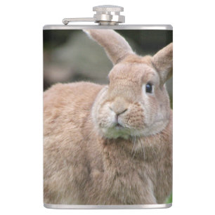 Cute ginger bunny with big ears hip flask